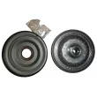 Kit d'embrayage OE 302053298R - Visuel 1