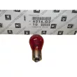 Ampoule, feu arrière OE 6216G2 - Visuel 1