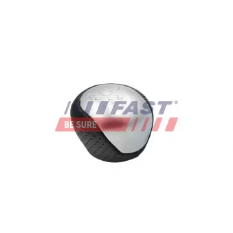 Pommeau FAST FT00077