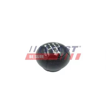 Pommeau FAST FT00092
