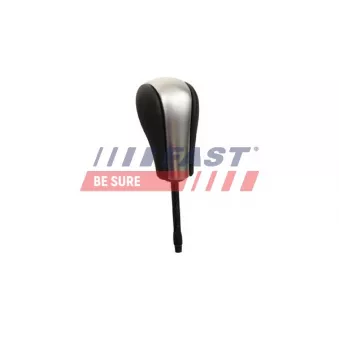 Pommeau FAST FT00096
