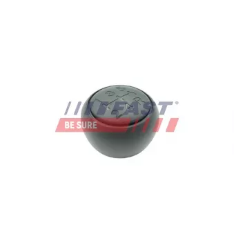 Pommeau FAST FT00097