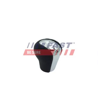 Pommeau FAST FT00116