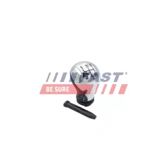 Pommeau FAST FT00119