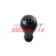 Pommeau FAST FT09030 - Visuel 1