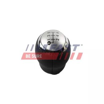 Pommeau FAST FT09032