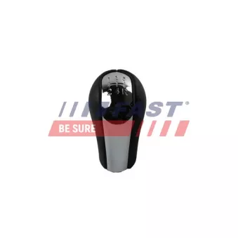 Pommeau FAST FT09033