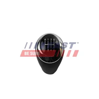 Pommeau FAST FT09034