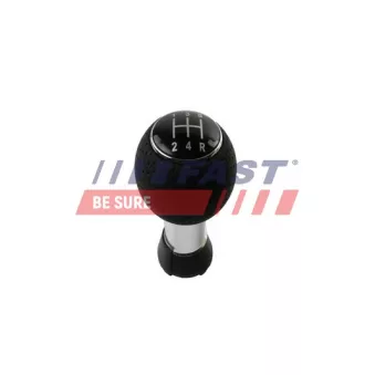Pommeau FAST FT09036