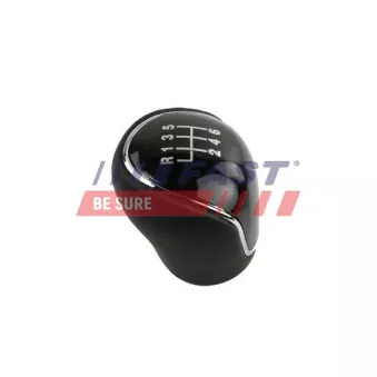 Pommeau FAST FT09041
