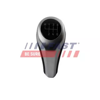Pommeau FAST FT09042