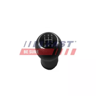 Pommeau FAST FT09047