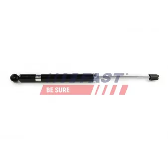 Jeu de 2 amortisseurs arrière FAST FT11074