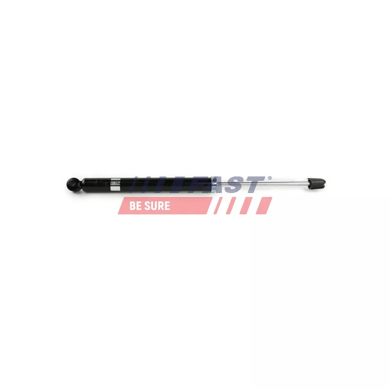 Jeu de 2 amortisseurs arrière FAST FT11074