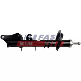 Jeu de 2 amortisseurs arrière FAST FT11201