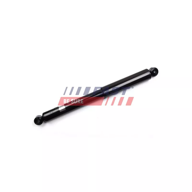 Jeu de 2 amortisseurs arrière FAST FT11313