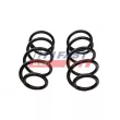Ressort de suspension avant FAST FT12225K - Visuel 2