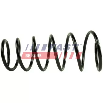 Ressort de suspension FAST FT12229