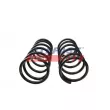 Ressort de suspension FAST FT12269K - Visuel 3