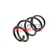 Ressort de suspension FAST FT12291 - Visuel 1