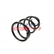 Ressort de suspension FAST FT12291 - Visuel 2