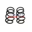 Ressort de suspension avant FAST FT12291K - Visuel 2