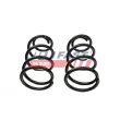 Ressort de suspension avant FAST FT12291K - Visuel 3
