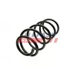 Ressort de suspension FAST FT12293 - Visuel 1