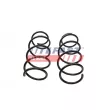 Ressort de suspension avant FAST FT12294K - Visuel 2