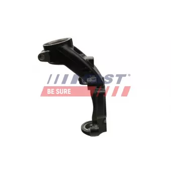 Fusée d'essieu, suspension de roue avant gauche FAST FT13569
