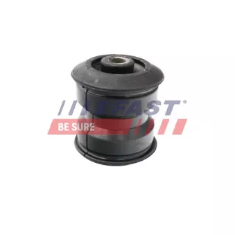Suspension, ressort à lames FAST FT13706