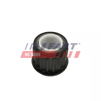 Suspension, ressort à lames FAST FT13711