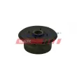 Suspension, corps de l'essieu FAST FT18132 - Visuel 2