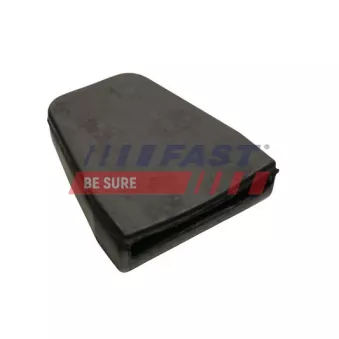 Suspension, ressort à lames FAST FT18250