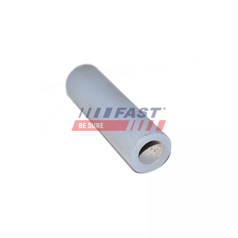 Coussinet de palier, ressort à lames FAST FT18356