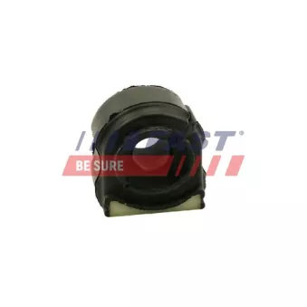 Suspension, stabilisateur arrière FAST FT18456