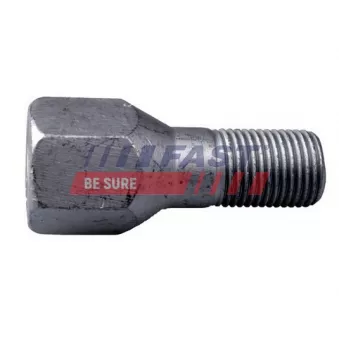 Vis de roue FAST FT21506