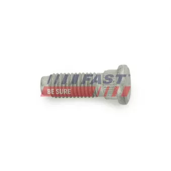 Vis de roue FAST FT21528