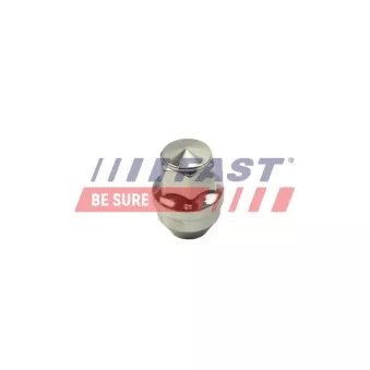 Écrou de roue FAST FT21601