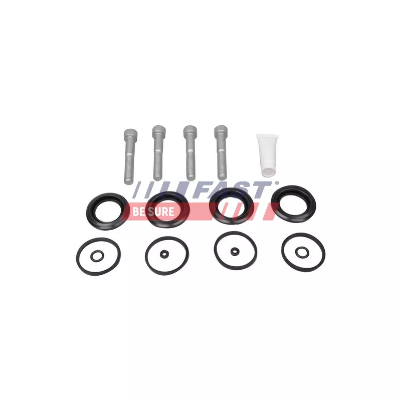 Kit de réparation, étrier de frein FAST FT32291