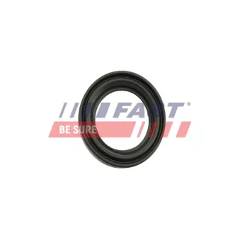 Kit de réparation, étrier de frein FAST FT32483
