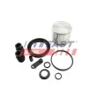 Piston, étrier de frein FAST FT34504 - Visuel 1