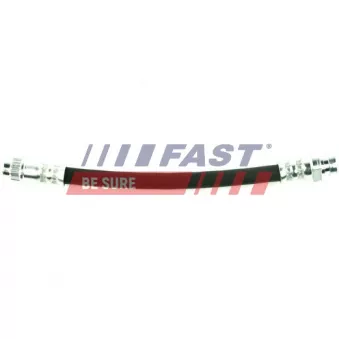 Flexible de frein FAST