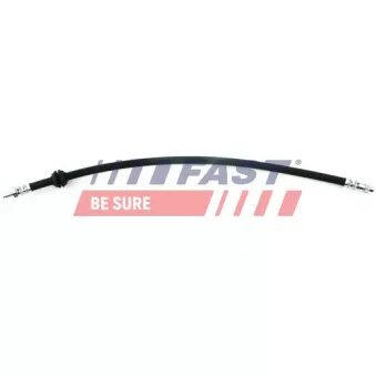 Flexible de frein FAST