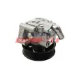 Pompe hydraulique, direction FAST FT36235 - Visuel 2