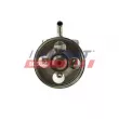 Pompe hydraulique, direction FAST FT36236 - Visuel 2