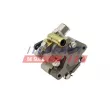 Pompe hydraulique, direction FAST FT36241 - Visuel 1