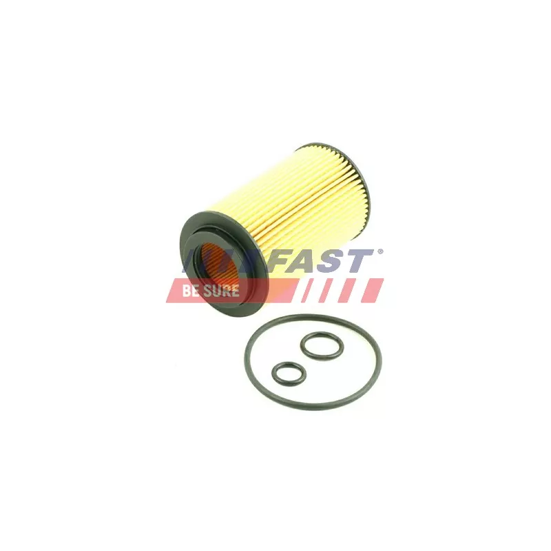 Filtre à huile FAST FT38013