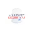 Filtre à huile FAST FT38027 - Visuel 2