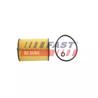 Filtre à huile FAST FT38098